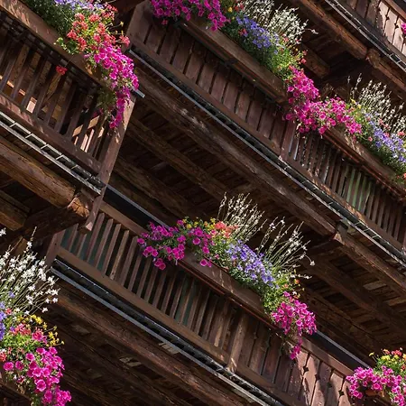 Hotel Matterhorn Boutique & Zermatt