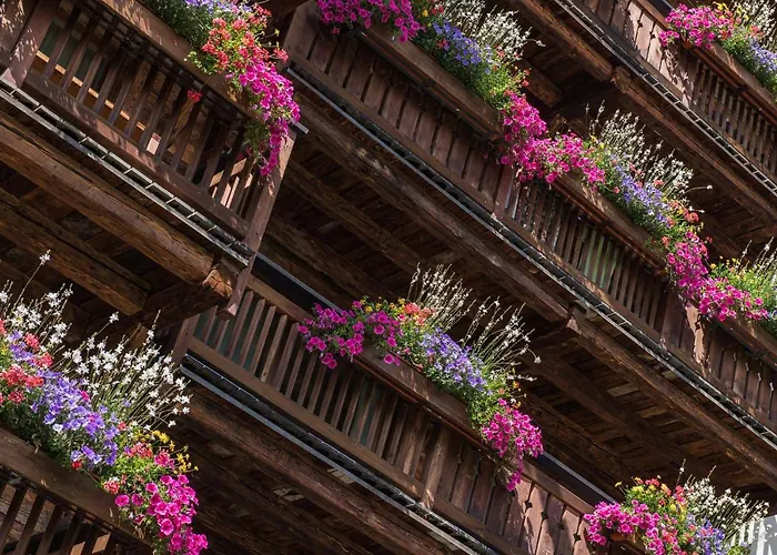 Hotel Matterhorn Hotel&appartements Zermatt